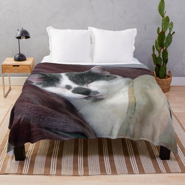 Item preview, Cat Napping designed and sold by Frankie Cat Photography.