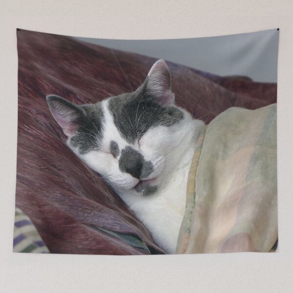 Item preview, Cat Napping designed and sold by Frankie Cat Photography.