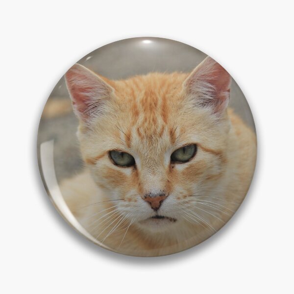 Artikelvorschau, Orange Tabby Cat entworfen und verkauft von KarenWoodArt.