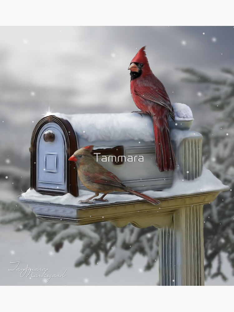 First Song by Tammara