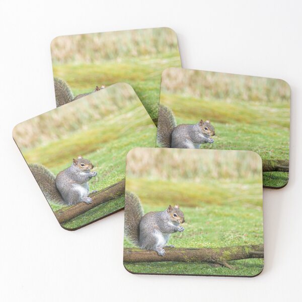 Item preview, Grey Squirrel perched on a log. Possibly one of the cheekiest wild animals we have in the UK. Not a friend to everyone, they still are fun to watch.  designed and sold by Cameranick.