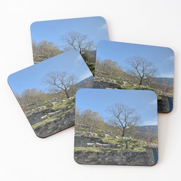 Item preview, The Sheep - Ariège, France designed and sold by AHELENE.