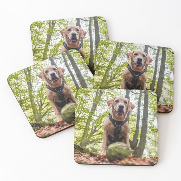 Item preview, Fetch designed and sold by Maggieinafrica.