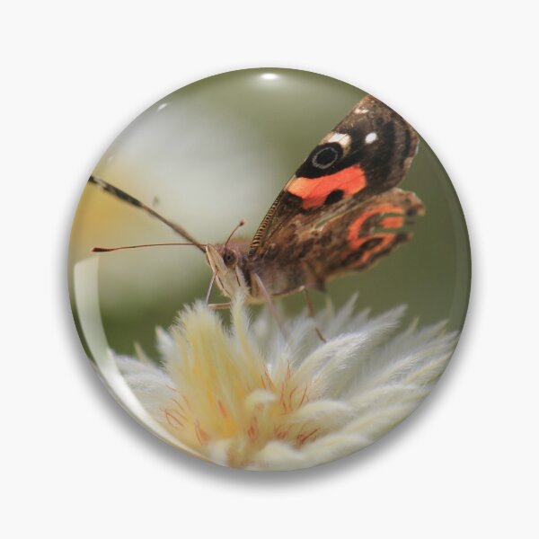 Item preview, Red Admiral Butterfly designed and sold by KarenWoodArt.
