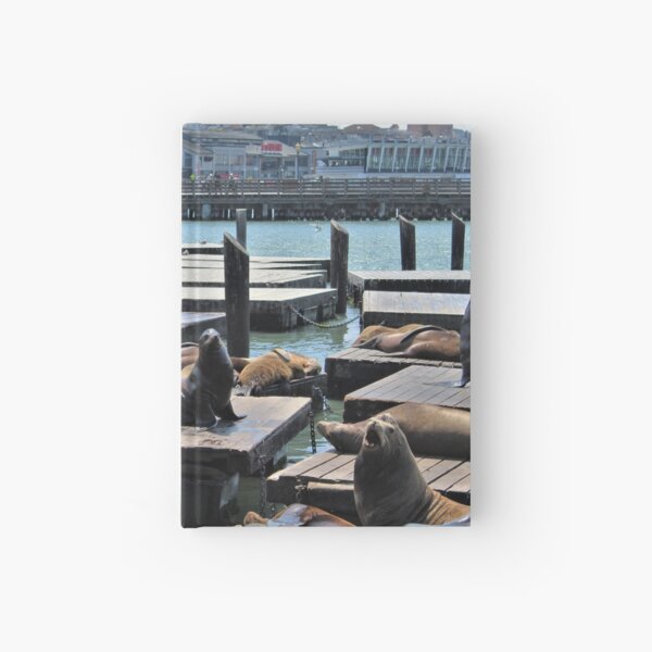 Sea Lions on Pier 39 pt.9 Hardcover Journal