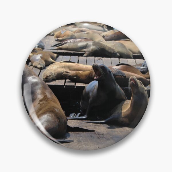 Item preview, Sea Lions on Pier 39 pt.11 designed and sold by Emily Hermann.