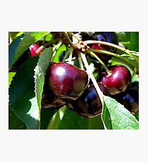 Ripe Photographic Print