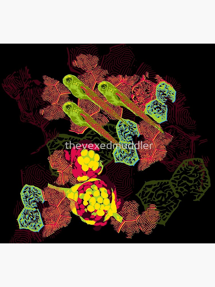 Zebrafish Fluorescent Staining by thevexedmuddler