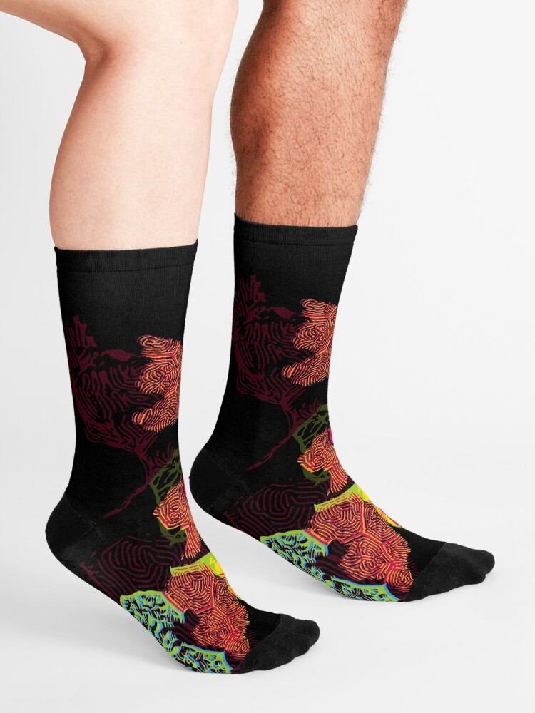Alternate view of Zebrafish Fluorescent Staining Socks