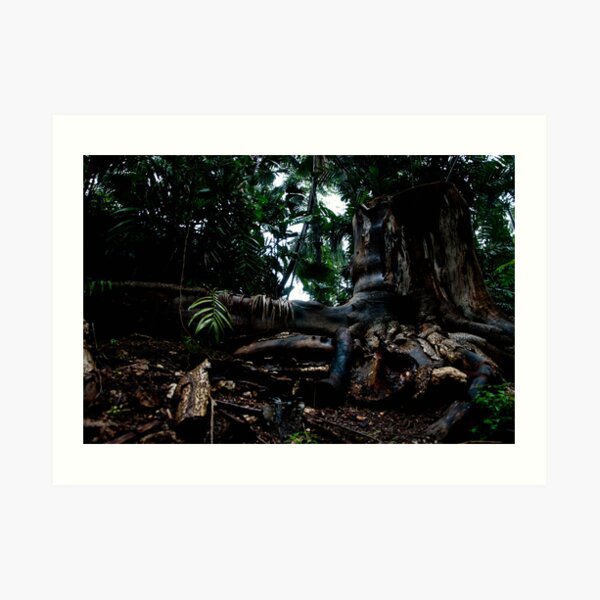 the deep dark forest Art Print
