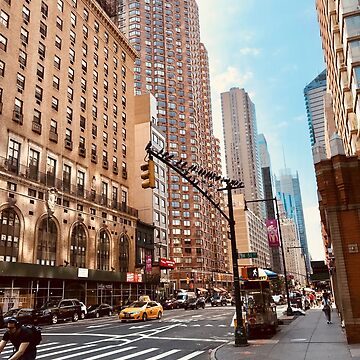 Vorschaubild zum Design New York City Vögel hell von Jenaya Lovell