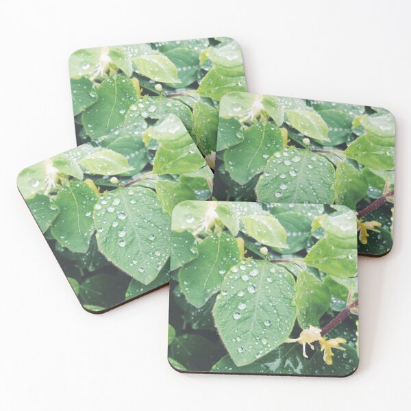 Item preview, leaves with water droplets  designed and sold by KaylaH22.