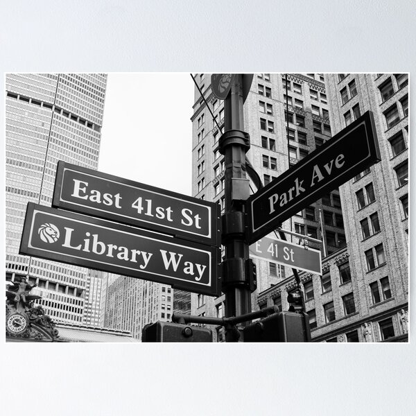 New York City Park Ave Poster