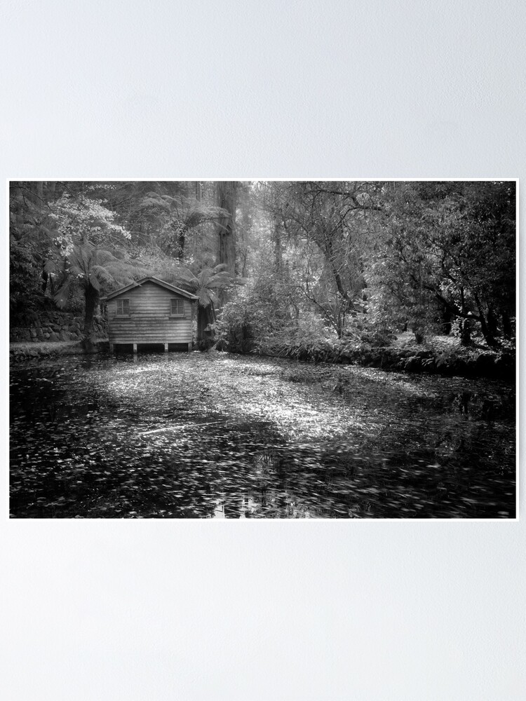 Thumbnail 1 of 3, Poster, Boathouse designed and sold by Maiden.