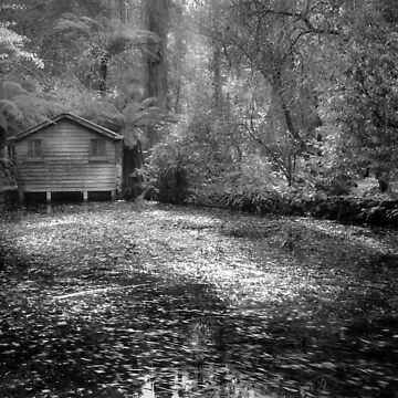 Artwork thumbnail, Boathouse by Christine Wilson