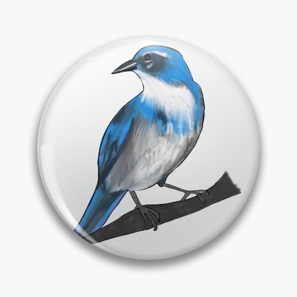 Item preview, Western Scrub Jay  designed and sold by Allison Campbell.