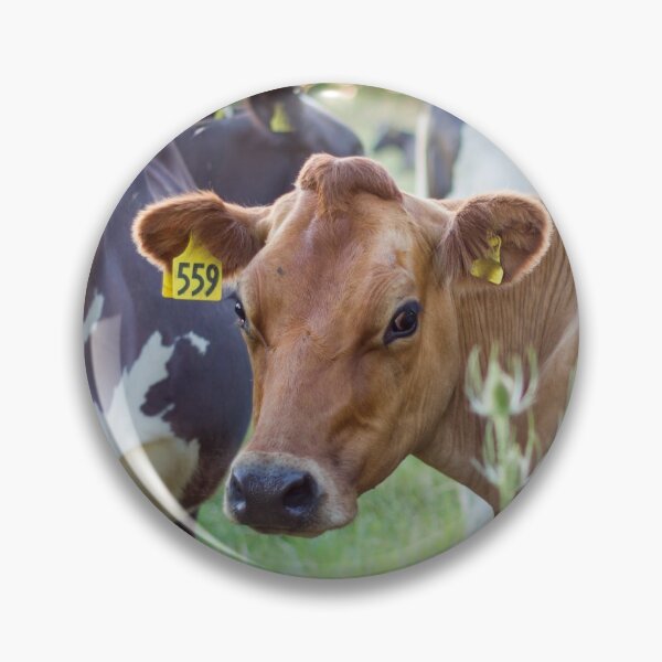 Item preview, Jersey Cow #559 designed and sold by KarenWoodArt.
