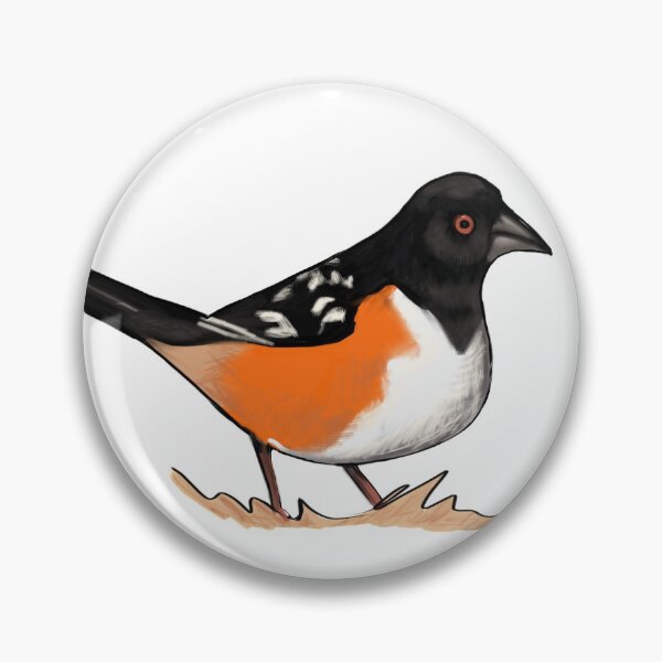 Artikelvorschau, Gefleckter Towhee entworfen und verkauft von Allison Campbell.