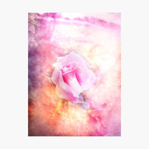 Forever Photographic Print
