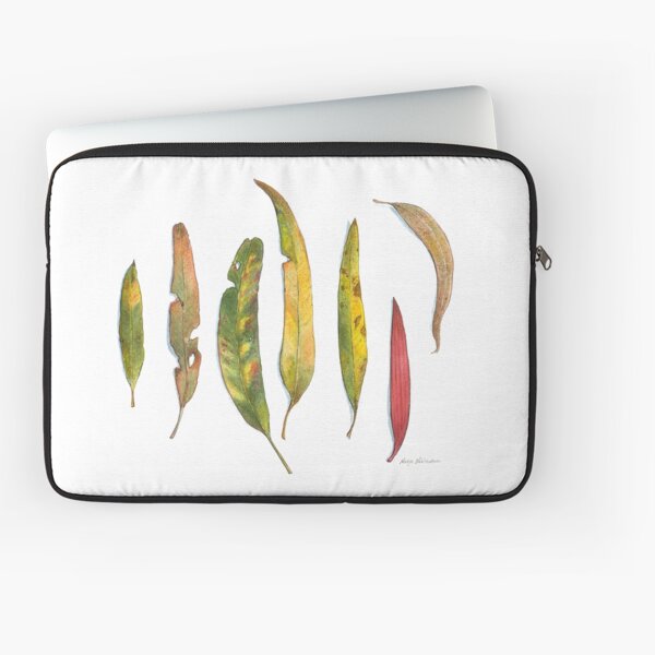 Item preview, Eucalyptus Leaves - Gum Leaves - Gumtree Leaves in Watercolour - by Nadya Neklioudova designed and sold by Nadya Neklioudova.