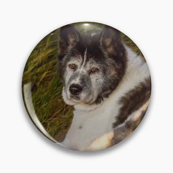 Item preview, Sunrise Akita designed and sold by KarenWoodArt.