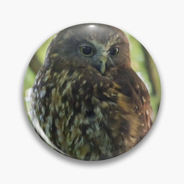 Item preview, Morepork Owl designed and sold by KarenWoodArt.