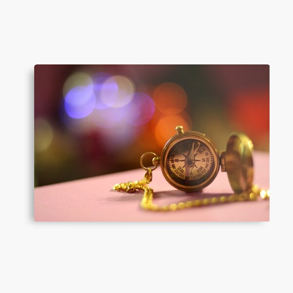 Lost Directions Metal Print
