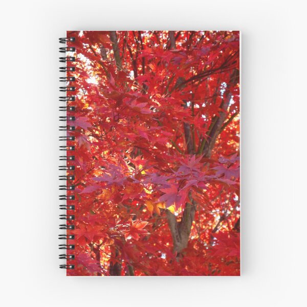 Item preview, Fall Fire ^ designed and sold by ctheworld.