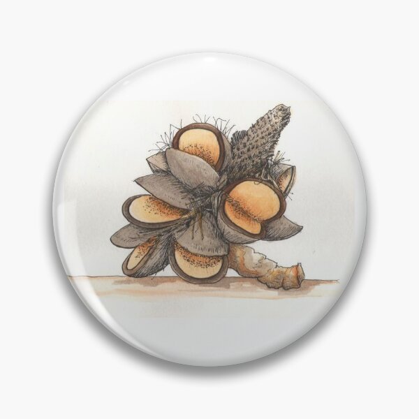 Item preview, Banksia Pod designed and sold by Nature in Tasmania.
