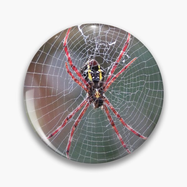 Artikelvorschau, Große Garten-Orbweaver-Spinne entworfen und verkauft von Linda Walsh.