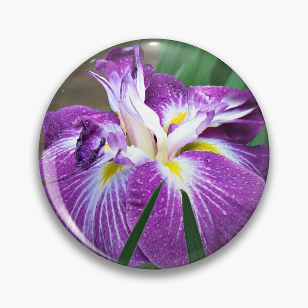 Item preview, Dark Purple Japanese Iris designed and sold by Linda Walsh.