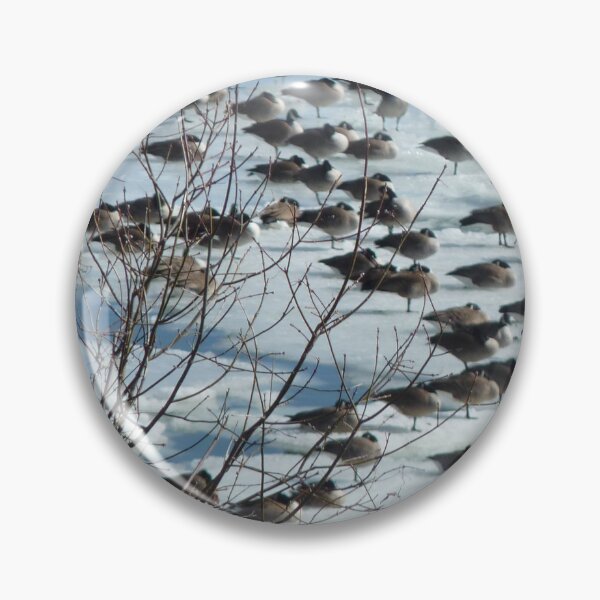 Item preview, Birds designed and sold by Martin Boisvert.