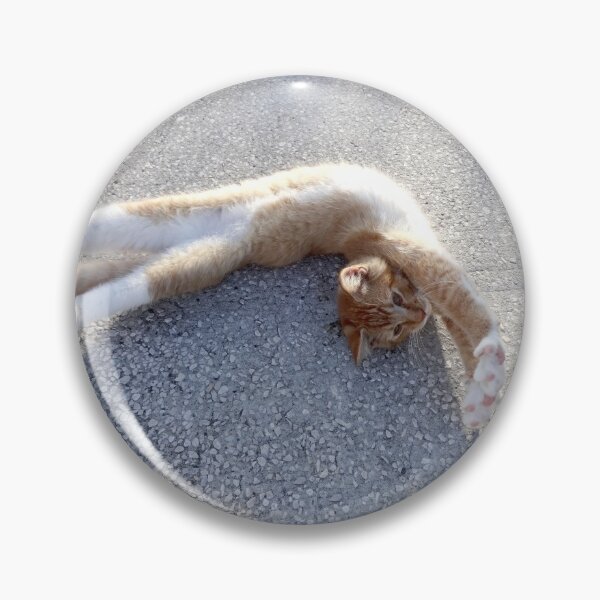 Item preview, Kitten Yoga by Orikall designed and sold by HippieWorks.