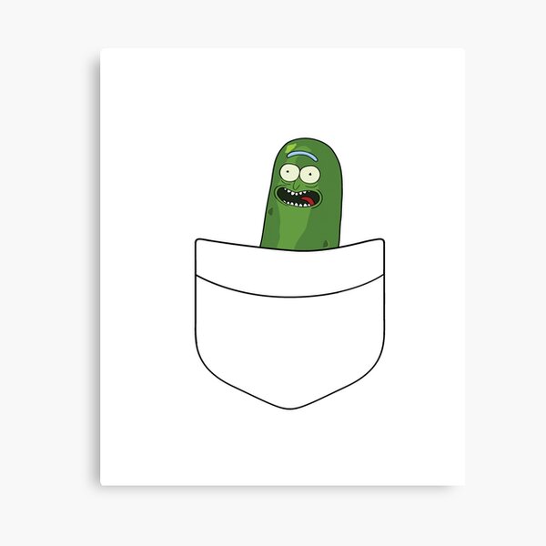 Pickle Rick Pocket Space Canvas Print