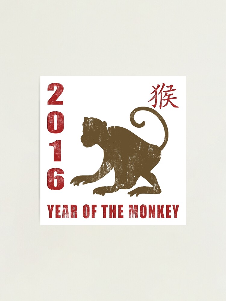 2016-monkey-chinese-zodiac-60-photos-youhoroscope