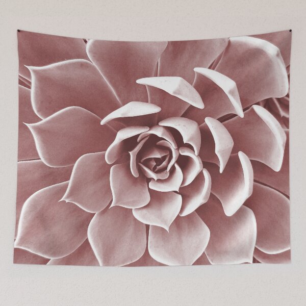 Item preview, Pink Succulent designed and sold by UrbanEpiphany.