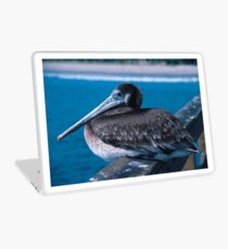 Brown Pelican Resting on the Docks Laptop Skin