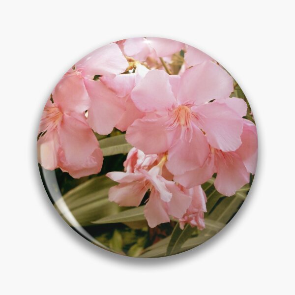 Pink Flowers Pin