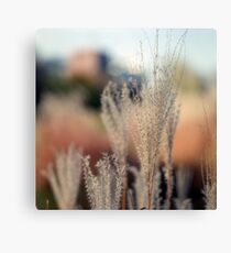 Caress me softly. Canvas Print