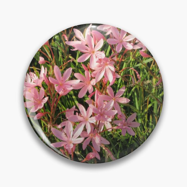 Item preview, Kaffir Lilies, South Brent designed and sold by lezvee.