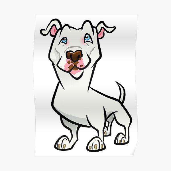 White Pit Bull Poster