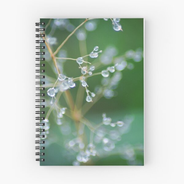 Item preview, Sparkle designed and sold by NJMphotography.