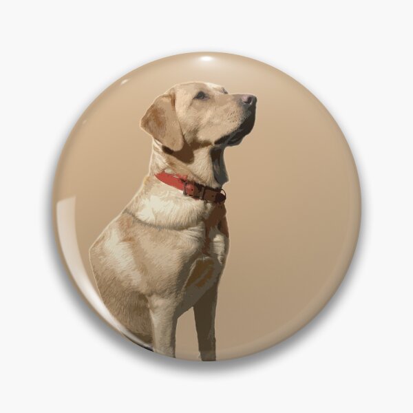 Item preview, I'm Such A Proud Labrador designed and sold by Alternative Perspectives.