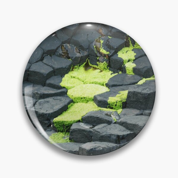 Item preview, Green algae spreading over grey basalt designed and sold by Alternative Perspectives.