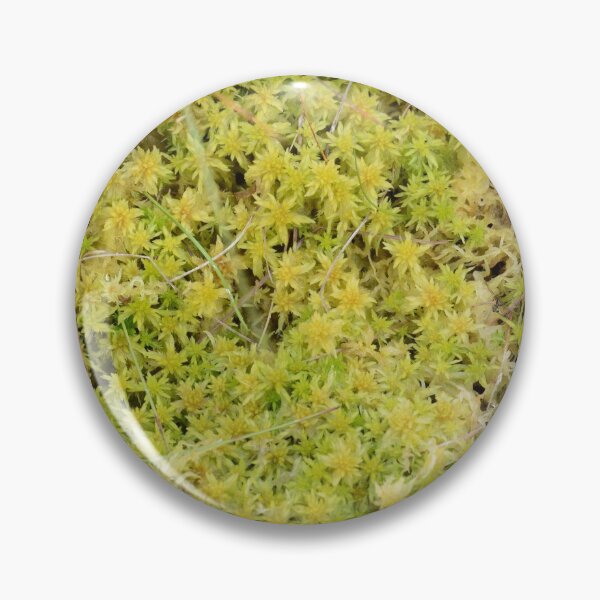 Item preview, A Bed of Sphagnum Moss designed and sold by Alternative Perspectives.