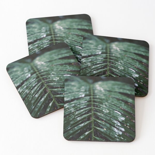 Item preview,   Wet tropical Daintree palm designed and sold by Libby A.