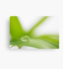 Power Engerie Canvas Print