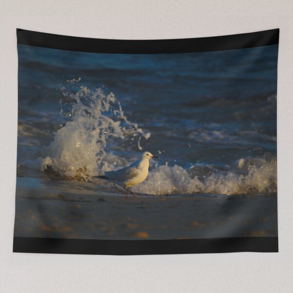 Item preview, A Seagull At Dawn Small Waves Against The Reef designed and sold by Jason Gilbert.