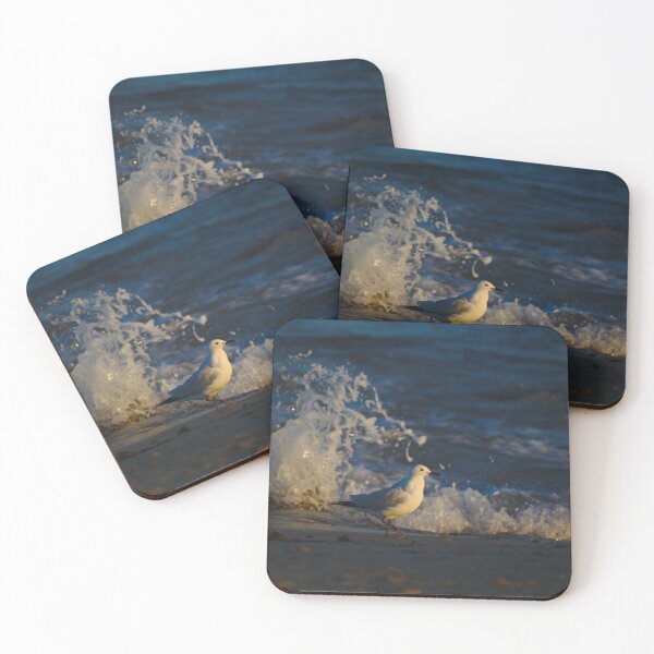 Item preview, A Seagull At Dawn Small Waves Against The Reef designed and sold by Jason Gilbert.