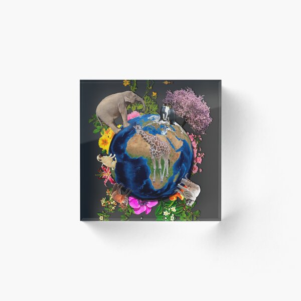NATURE Acrylic Block